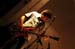 Psychos_009
